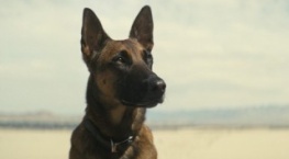 Фоллаут 1 сезон 7 серия