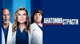 Анатомия страсти 22 сезон 9 серия