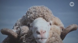 Северный берег 1 сезон 3 серия