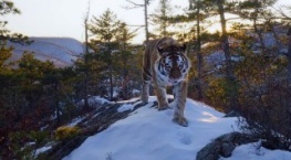 Наша планета 1 сезон 8 серия