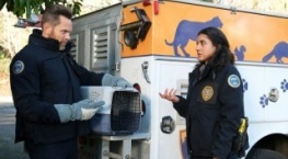 Контроль за животными 2 сезон 4 серия