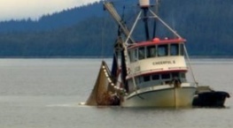 Гнилые 1 сезон 6 серия