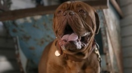 Тёрнер и Хуч 1 сезон 12 серия