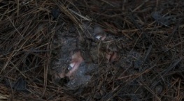 Список смертников 1 сезон 6 серия