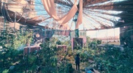 Милый дом 2 сезон 8 серия