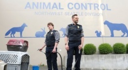 Контроль за животными 3 сезон 7 серия