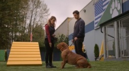 Тёрнер и Хуч 1 сезон 1 серия