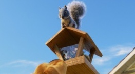 Будни Дага 1 сезон 1 серия