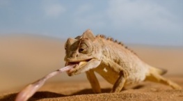 Крошечный мир 2 сезон 6 серия