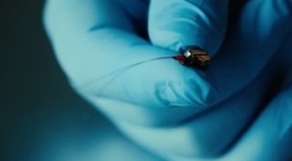 Искусство шпионажа 1 сезон 4 серия