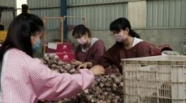 Гнилые 1 сезон 3 серия