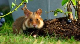 Крошечный мир 1 сезон 6 серия